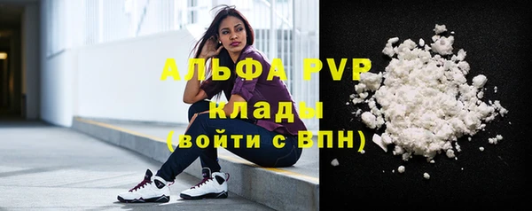 PSILOCYBIN Зеленодольск