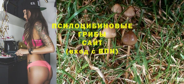 спайс Зерноград