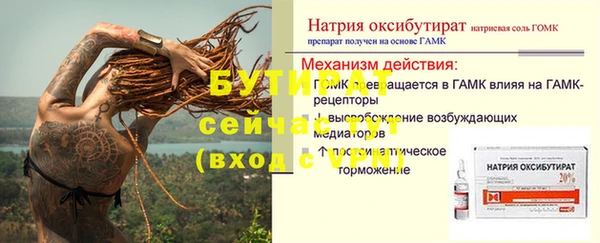 PSILOCYBIN Зеленодольск