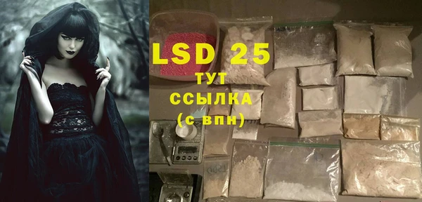 PSILOCYBIN Зеленодольск