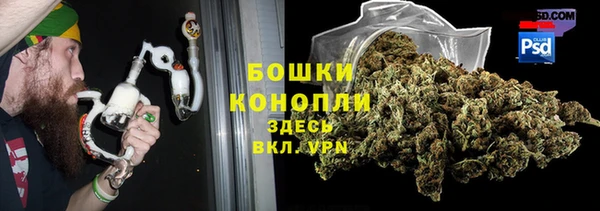 PSILOCYBIN Зеленодольск